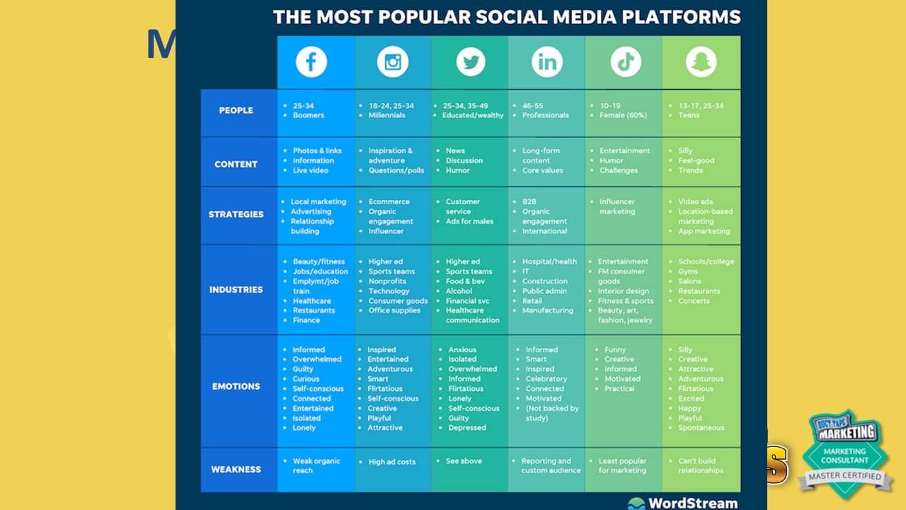 demographics of most popular social media platforms
