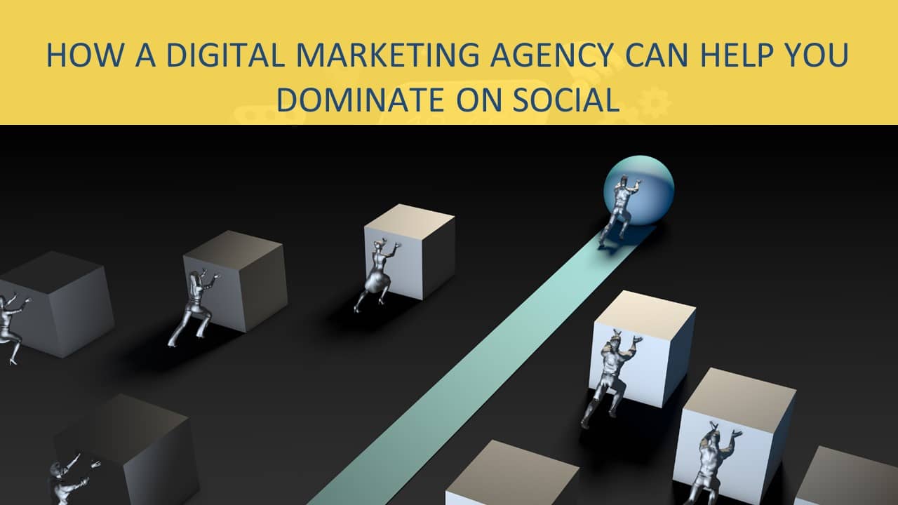 how a digital marketing agency can help you dominate on social media